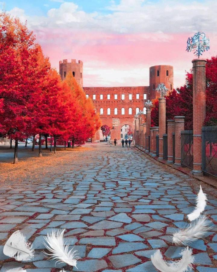 B&B Carlo Alberto Torino Dış mekan fotoğraf